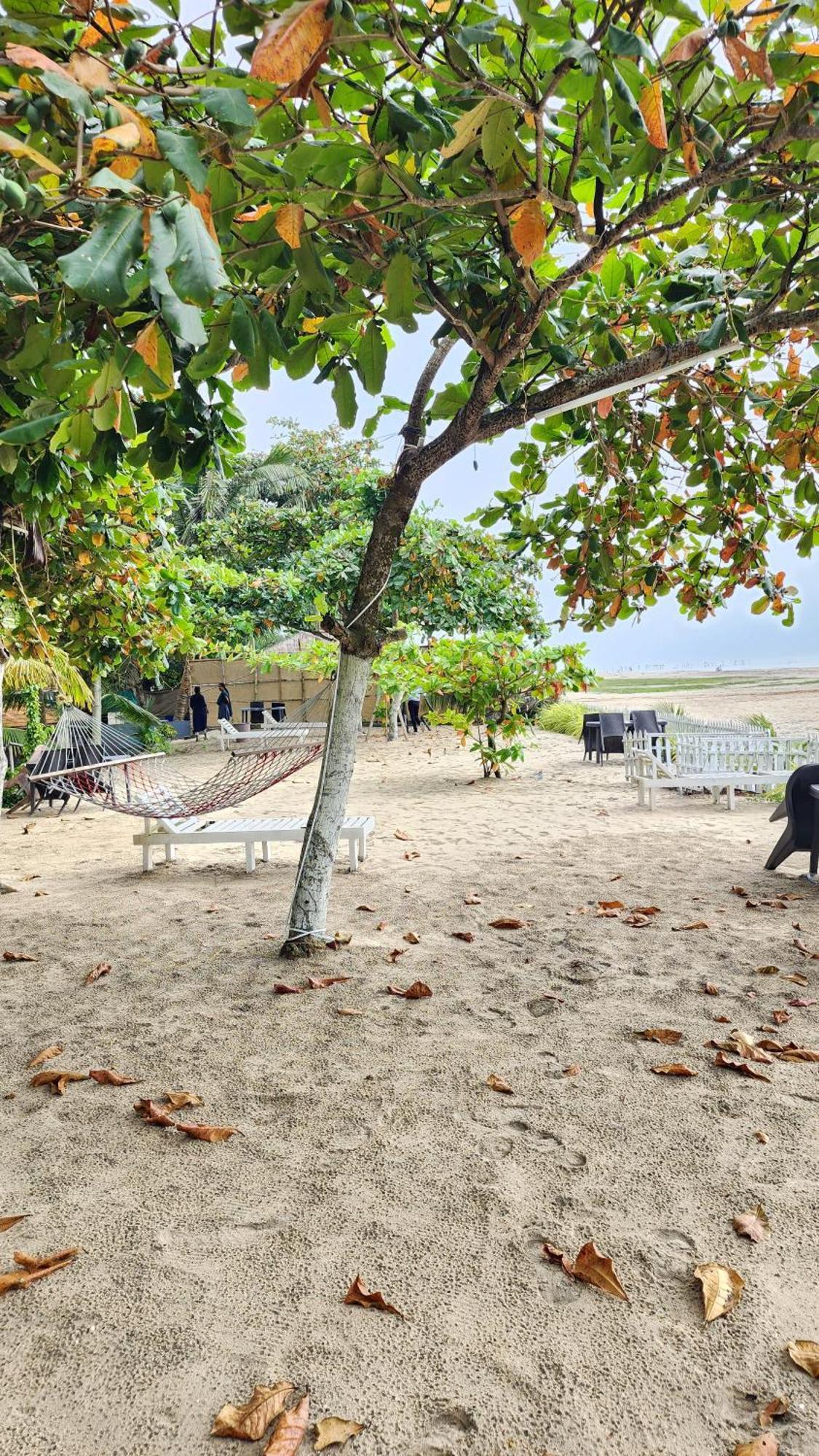Palm Beach Resort, Alleppey Alappuzha Екстер'єр фото